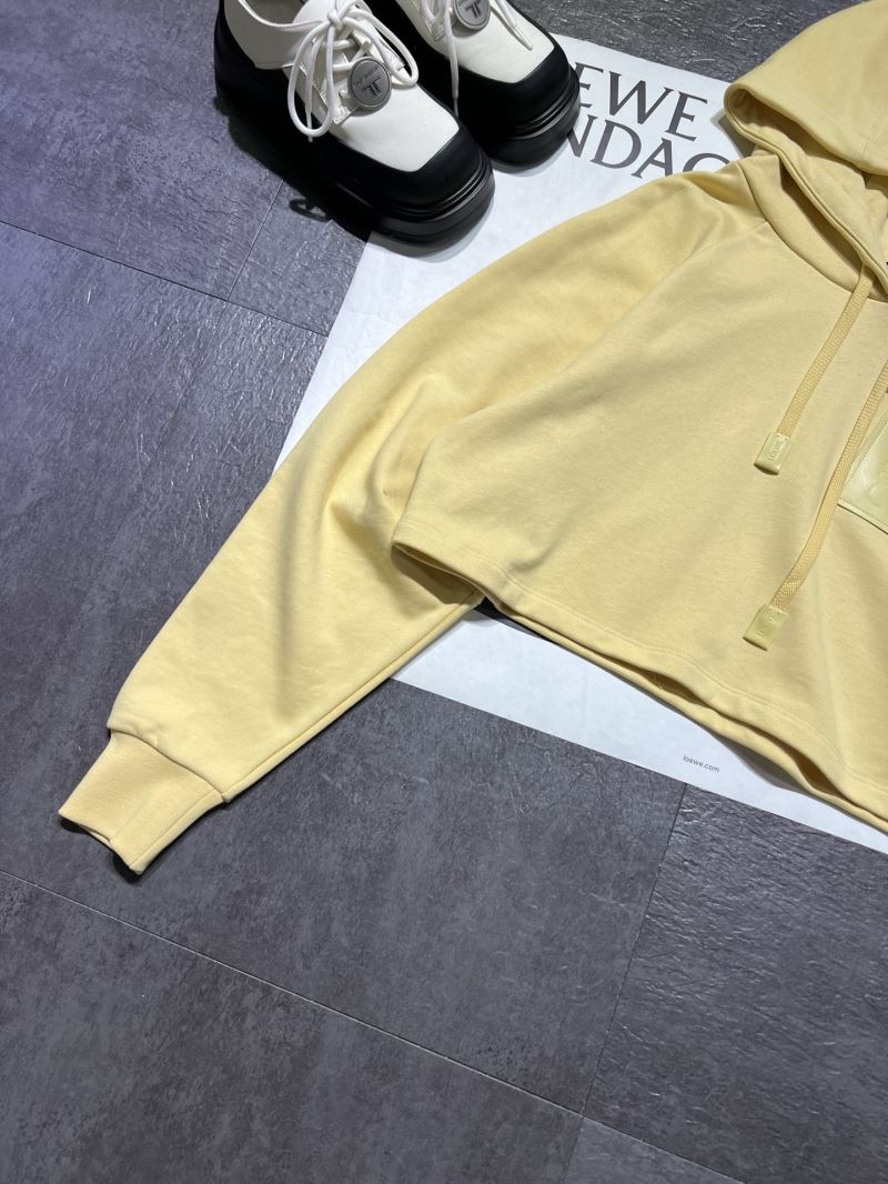 Loewe Hoodies